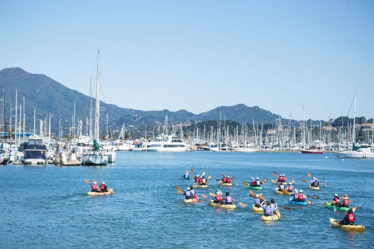 Sea Trek Kayak & SUP